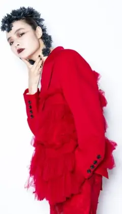 ✿ヴィヴィアーノ✿2024-25fw❇完売❇装苑掲載❇衣装❇ティアード