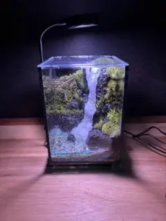 受注生産】滝のあるアクアテラリウム 15✖️15✖️20センチ - メルカリ