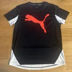 PUMA スポーツ Tシャツ 160