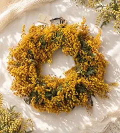 含羞草花環　大尺寸　30公分