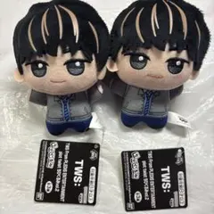 TWS トゥアス ちびぐるみ vol.1 ぬいぐるみ ハンジン HANJIN - メルカリ