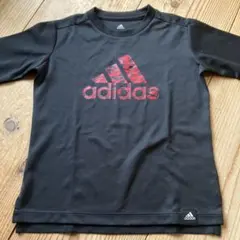 Item thumbnail for item 1d70eb38-761c-4c20-a6c0-2f1a5553bdaf