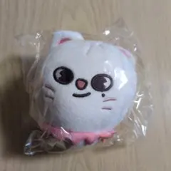 Stray Kids 5-STAR 　バッグチャーム　ジニレット