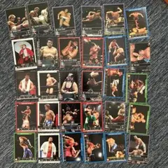 新日本プロレス 山勝ミニカード 13枚セット - メルカリ