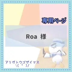 Roa様 リクエスト 2点 まとめ商品