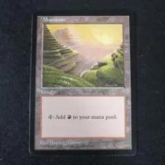 2026年最新】apac mtgの人気アイテム - メルカリ