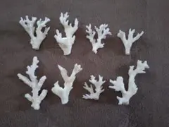 珊瑚　サンゴ　8個セット　インテリア　アンティーク