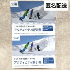 日本駐車場開発株主優待　リフト利用を含むスキー場アクティビティ割引券 2枚