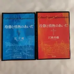 冷静と情熱のあいだ Blue Rosso 文庫本 2冊セット辻仁成 江國香織