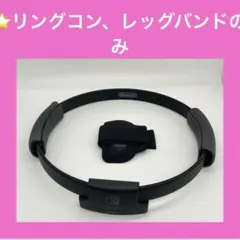リングフィット　リストバンド 2026年最新】リングフィットアドベンチャーリストバンドの人気アイテム