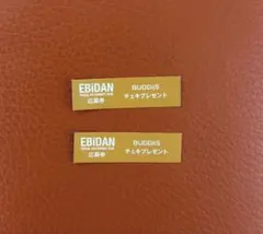 EBiDAN チェキ 応募券 BUDDiiS 2枚セット