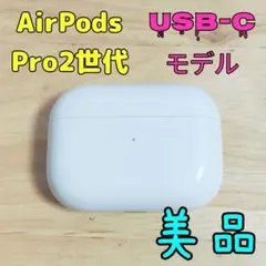 Apple AirPods Pro 2世代 Type-C 充電ケースのみ 111