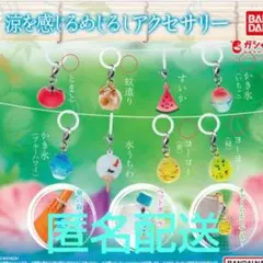 涼を感じるめじるしアクセサリー 5種