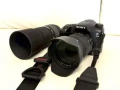 2025年最新】a77IIの人気アイテム - メルカリ