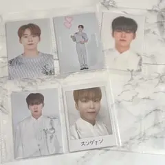 SEVENTEEN スングァン ドームトレカ SVT まとめ売り