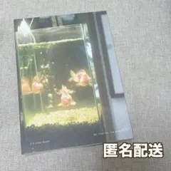 Item thumbnail for item c2addccd-cb24-4060-bd17-d20e6e7aa519