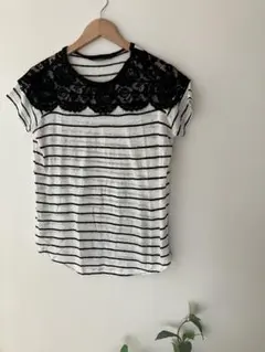ZARA コレクション　レース襟付きストライプ　半袖トップス　サマーニット　M