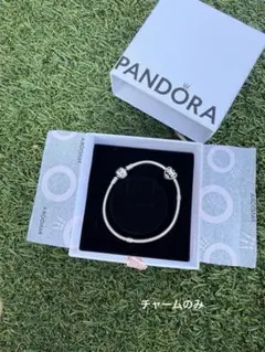 PANDORAパンドラ　カスタム　チャーム付きブレスレット　箱付き　41796 PANDORAパンドラ カスタム チャーム付きブレスレット 箱付き 41796