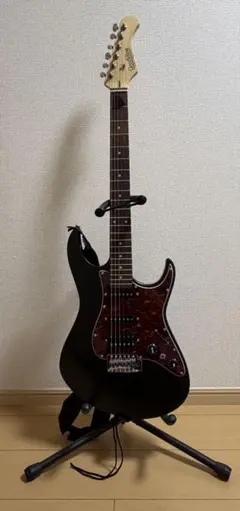 bacchus バッカス BST24-HH 改 ギター HISASHI GLAY - メルカリ