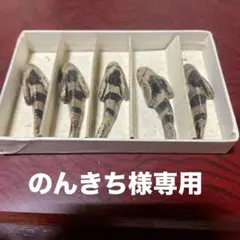 魚型箸置き 5個セット 陶器製