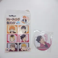 ハイキュー!!缶バッジ 黒尾鉄朗 クロ 傘ver ファミマ