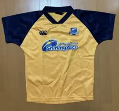 Item thumbnail for item 2a838cc7-f06d-4745-8377-4f158b9ce411