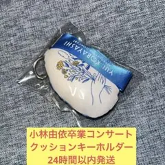 2026年最新】欅坂46 クッションの人気アイテム - メルカリ