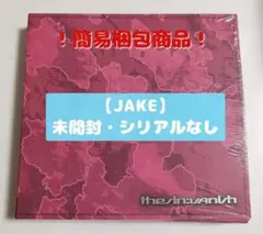 THE SIN : VANISH (FUGITIVES Ver.)~未開封商品~