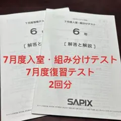 2026年最新】サピックステストの人気アイテム - メルカリ