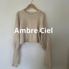 【Ambre Ciel】レディースニット　ホワイト　フリーサイズ
