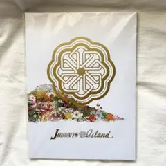 ジャニーズアイランド パンフレット