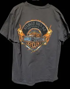 Item thumbnail for item 8eaefd88-f693-4e74-a6cc-c1a52e10ac39