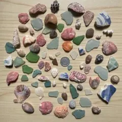 No.1 シーグラス シー陶器 貝殻 ハンドメイド素材 ビーチコーミング 工作