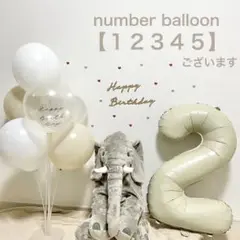 匿名配送　グレージュ　ナンバーバルーン　風船　レターバナー　誕生日　バースデー