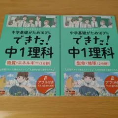 ともぞう様 リクエスト 2点 まとめ商品