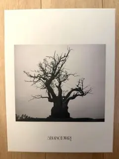 2026年最新】sekai no owari cd ベストの人気アイテム - メルカリ