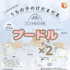 【プードル】 うちの子のけだまだま 犬のけだまだま バラ売り ２つ