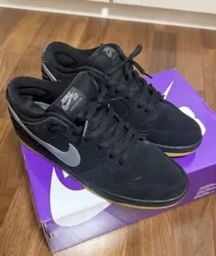 Nike SB Dunk Low Pro 