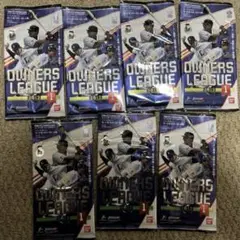 プロ野球 オーナーズリーグ OL13 未開封 2013第1弾