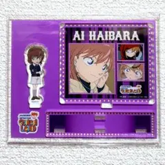 名探偵コナンランド オリジナルロッカーくじ　アクリルスタンド　灰原哀