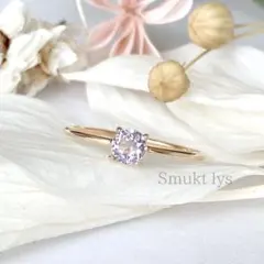 Item thumbnail for item 0287a893-0c9e-453f-bd1c-3d92f6851902