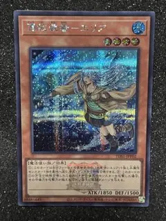 遊戯王25周年決闘者伝説精霊術の使い手憑依装着エリアイラスト違い