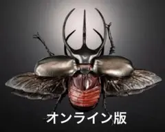 いきもの大図鑑　アドバンス　コーカサスオオカブト　オンライン　ジャワ島　④