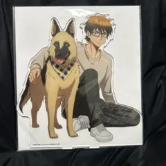 ダイヤのA actII 御幸一也 ビッグアクリルスタンド GiGO限定 - メルカリ