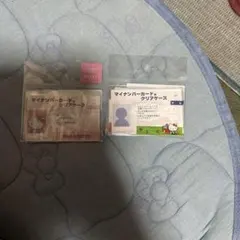 Item thumbnail for item f5130350-bee7-4d36-85c8-2e1b6075f4fc