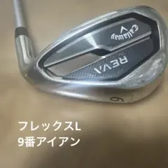 Item thumbnail for item 6b3d68c1-95ff-4b33-8be9-8e463541ede3