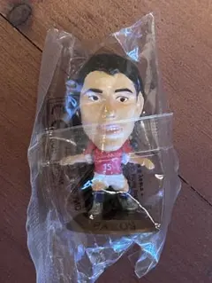 ファン・ニステルローイ コリンシアン プロスターズ オランダ代表
