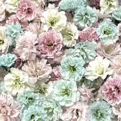 【20】 かすみ草ドライフラワー 春色パステル