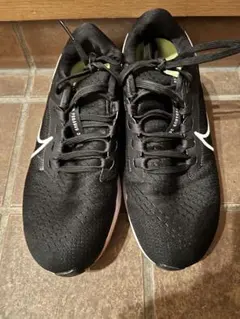 Item thumbnail for item 2d7c1bfa-9ba4-4905-8f77-78b098e4f993