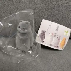 虚無 猫 纏 黒猫